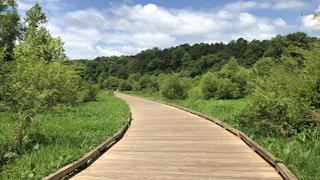 George pierce Park