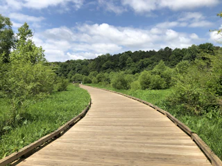 George pierce Park