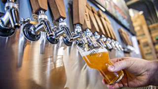 social fox taps