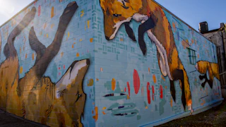 Murals & Public Art