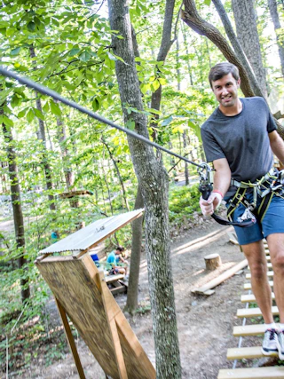 tree bridge adventure