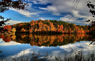 Little Mulberry Park