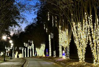 lighted path