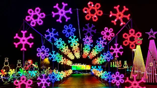 glow show coolray field