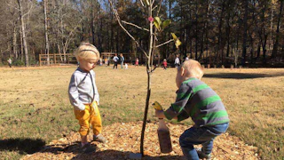 White street orchard 5bd60202 85a3 418c b503 344e782ef3ee