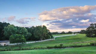 A green pasture with a white fence, trees, and a blue sky with clouds at sunset.
