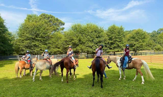 Five people wearing helmets ride horses in a grassy field with trees and a fence in the background.
